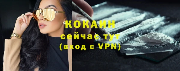 трава Арсеньев