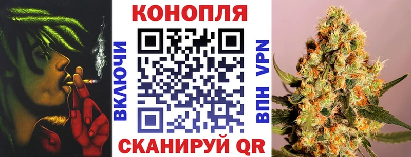 Канабис семена  Купить  Прохладный 